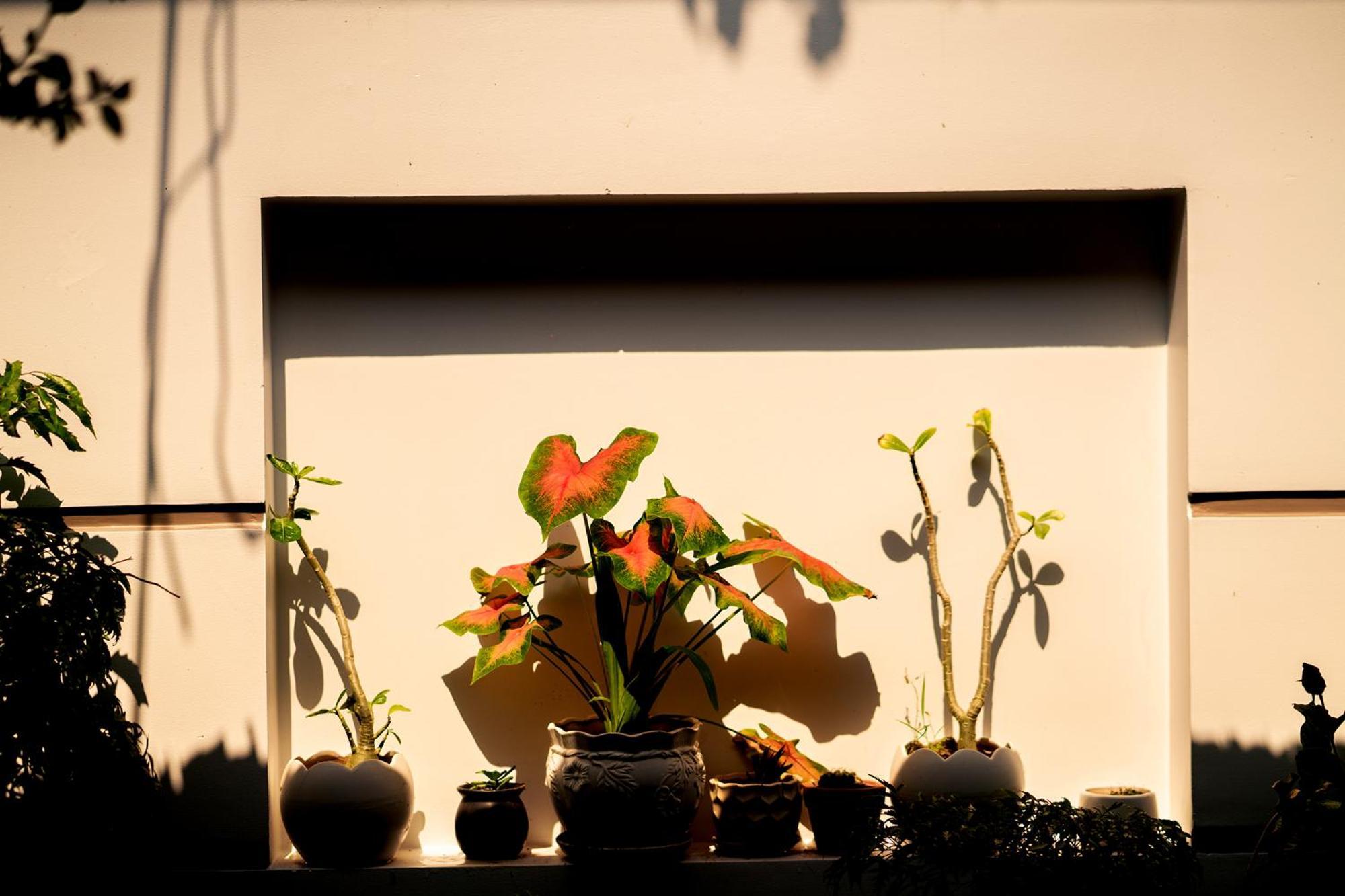 Hoi An Garden Sea Homestay מראה חיצוני תמונה